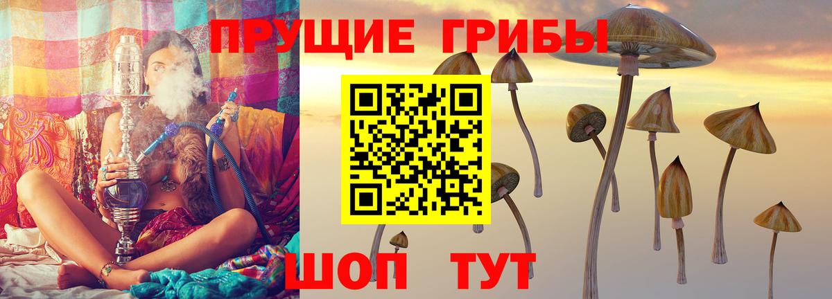 Псилоцибиновые грибы Psilocybe  Вход с VPN  где можно купить наркотик  Псилоцибиновые грибы прущие грибы  Новороссийск 